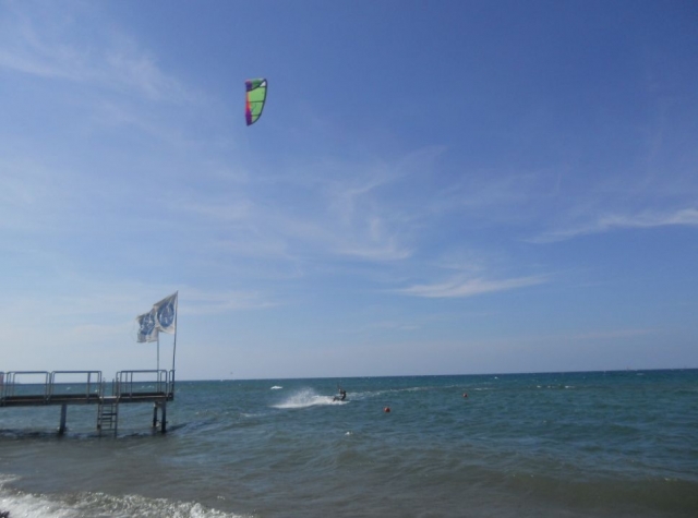  Instructores profesionales 